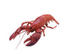 Lobster